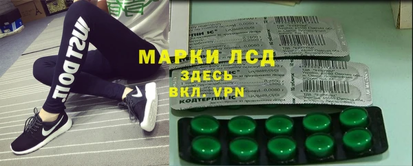 твердый Абаза