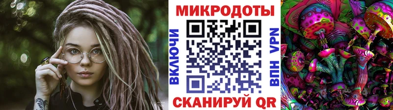 Галлюциногенные грибы Psilocybe  Чухлома 